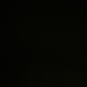 Meet your Posher, Scarlett